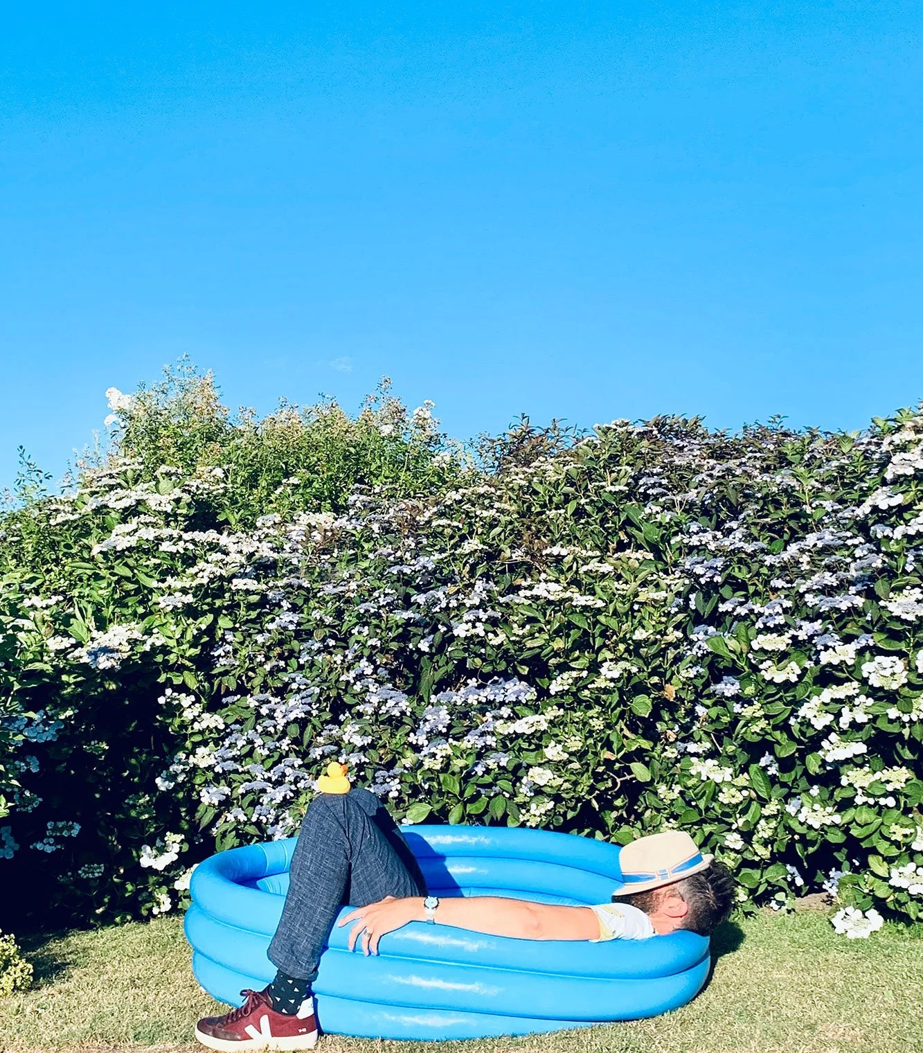 A perfectly useless afternoon - Image 15