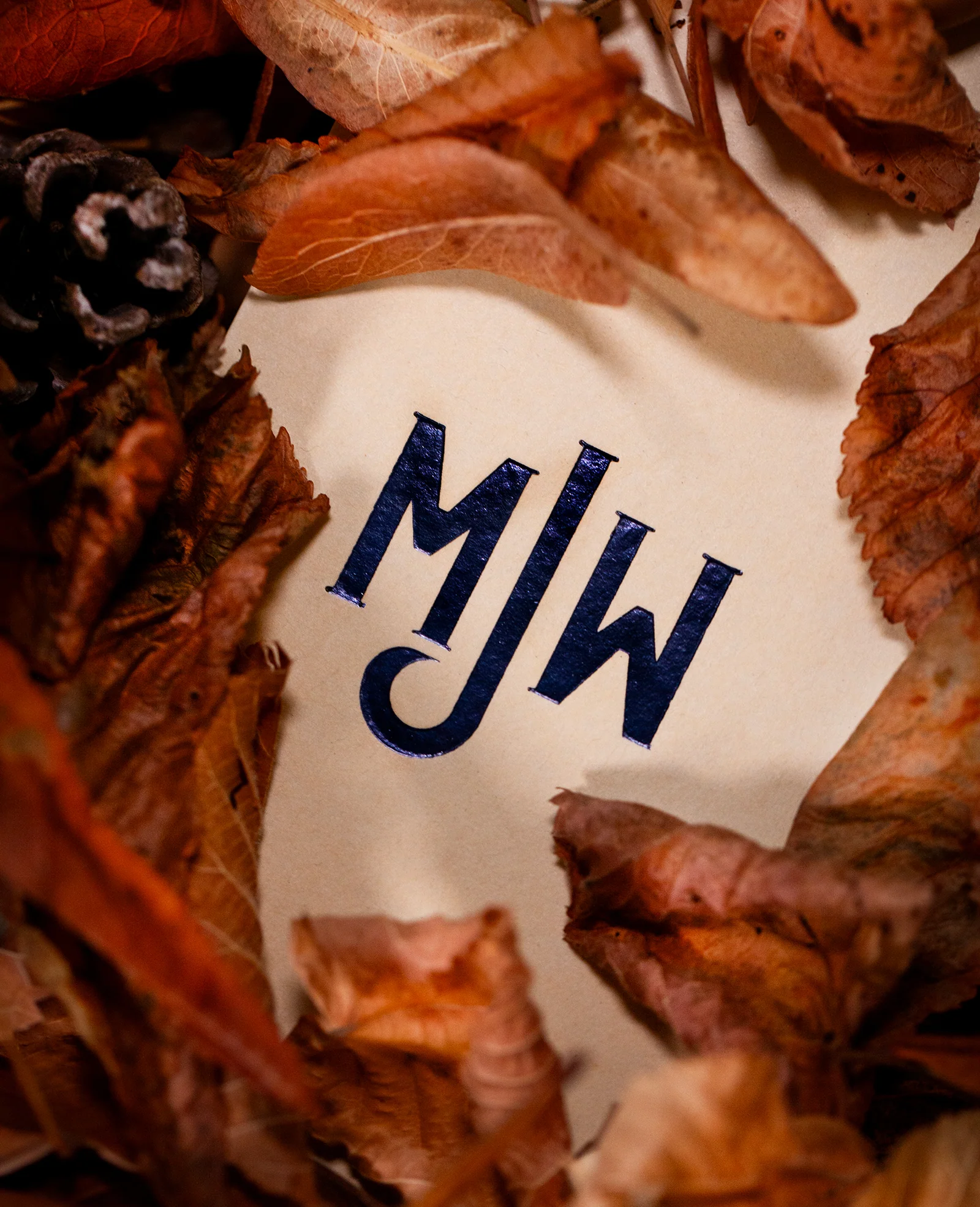 A perfectly useless morning - Image 11