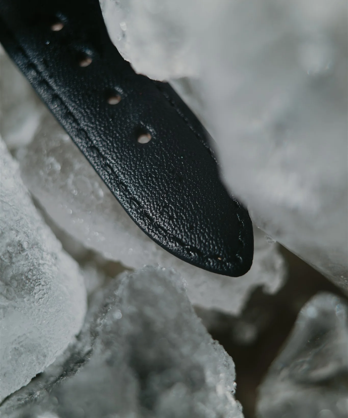 K9 (limited edition) - Image 13