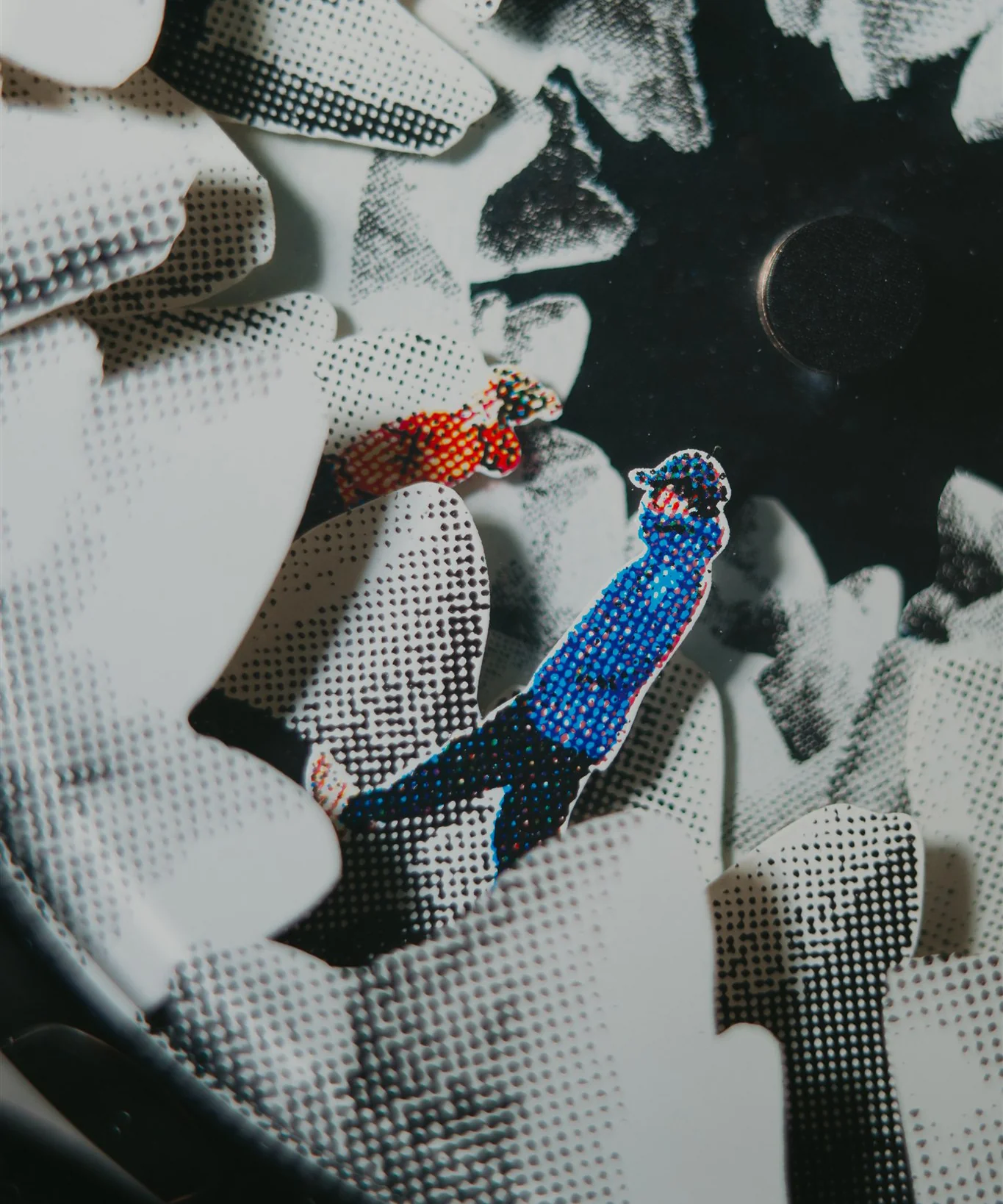 K9 (limited edition) - Image 3