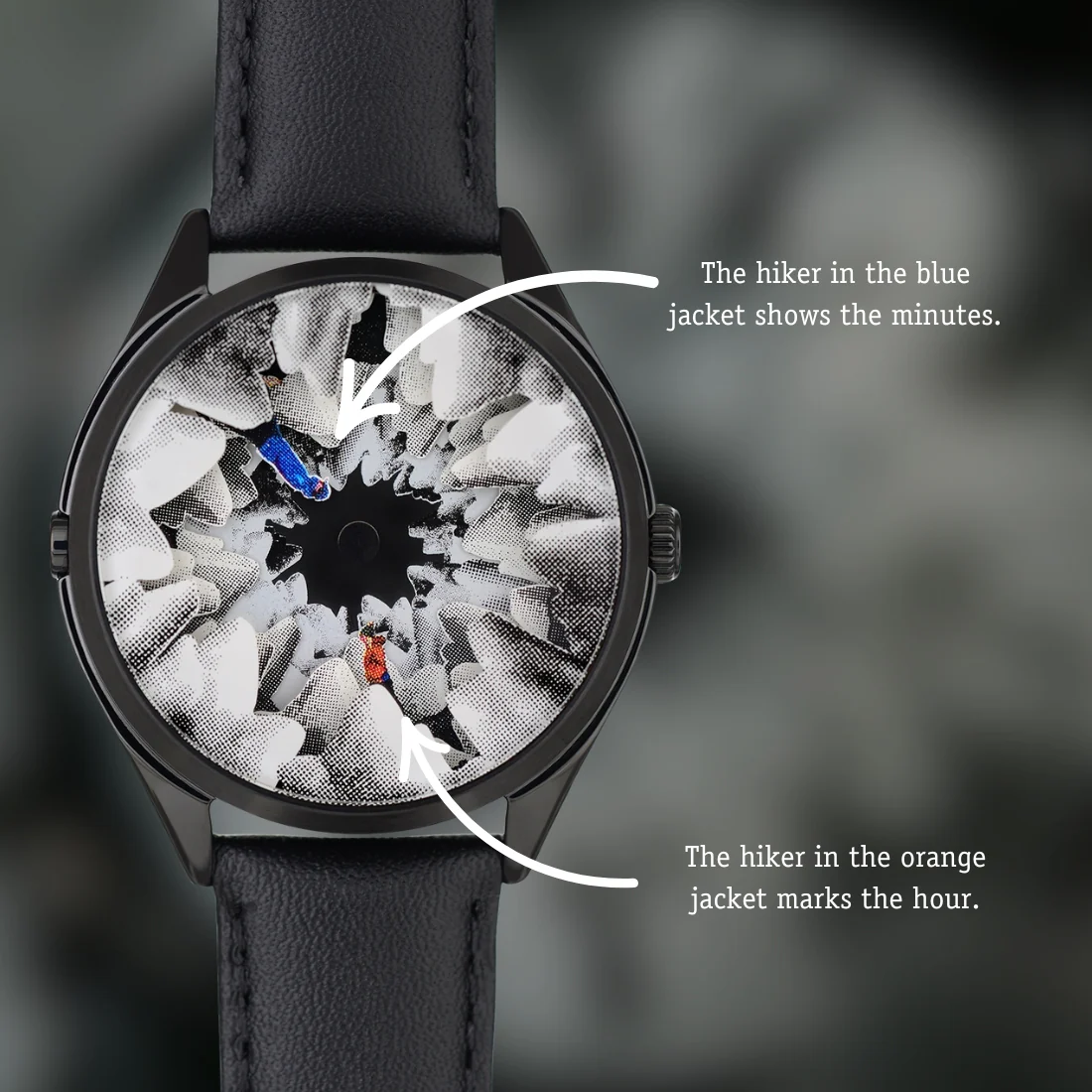 K9 (limited edition) - Image 6